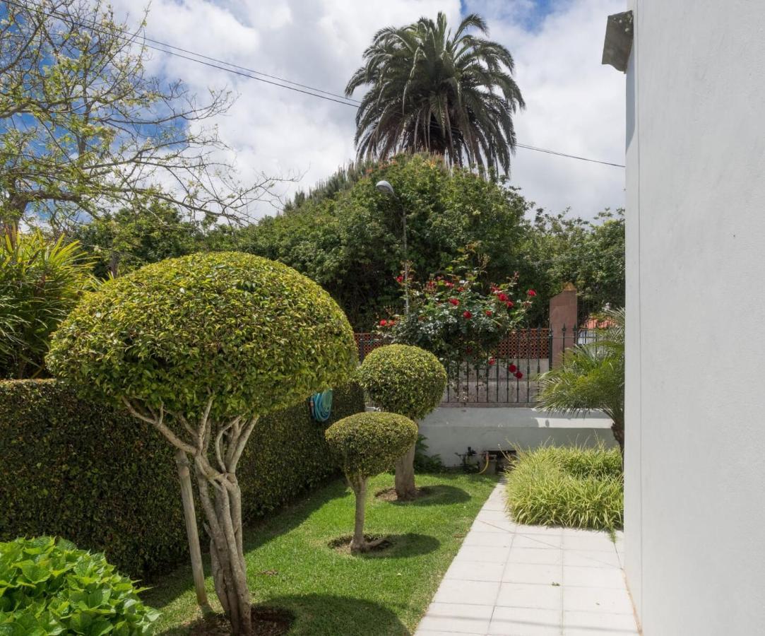 Donde Conchita, Cerca Del Aeropuerto Norte Apartment La Laguna  Bagian luar foto